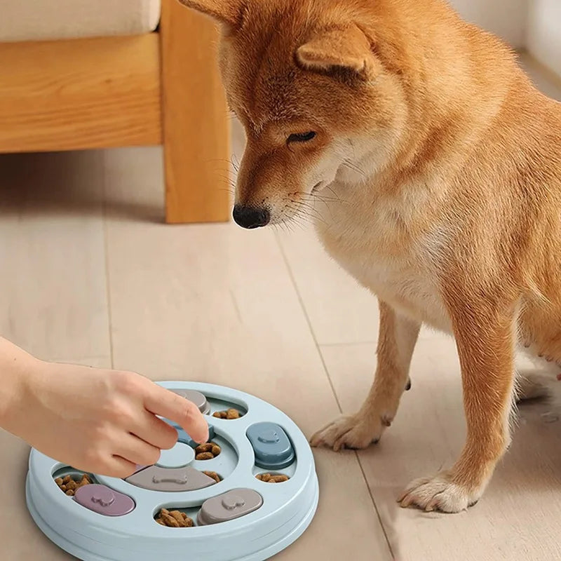 Ciotola Interattiva per Cani – Anti Ingozzamento e Gioco Educativo